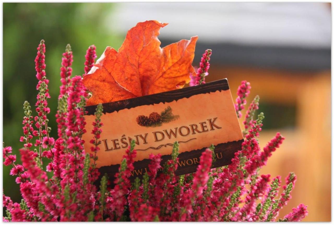 Lesny Dworek ซาโกปาเน ภายนอก รูปภาพ