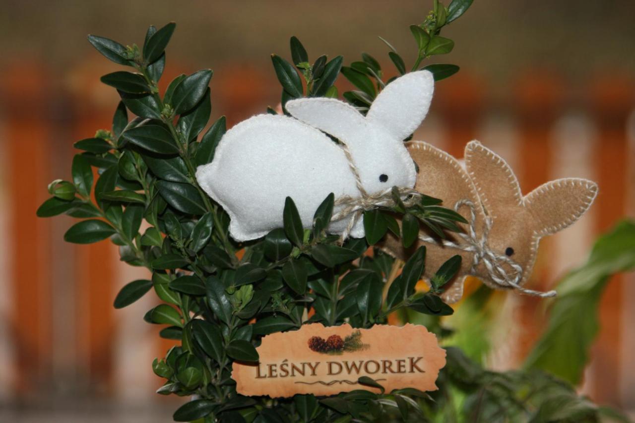 Lesny Dworek ซาโกปาเน ภายนอก รูปภาพ